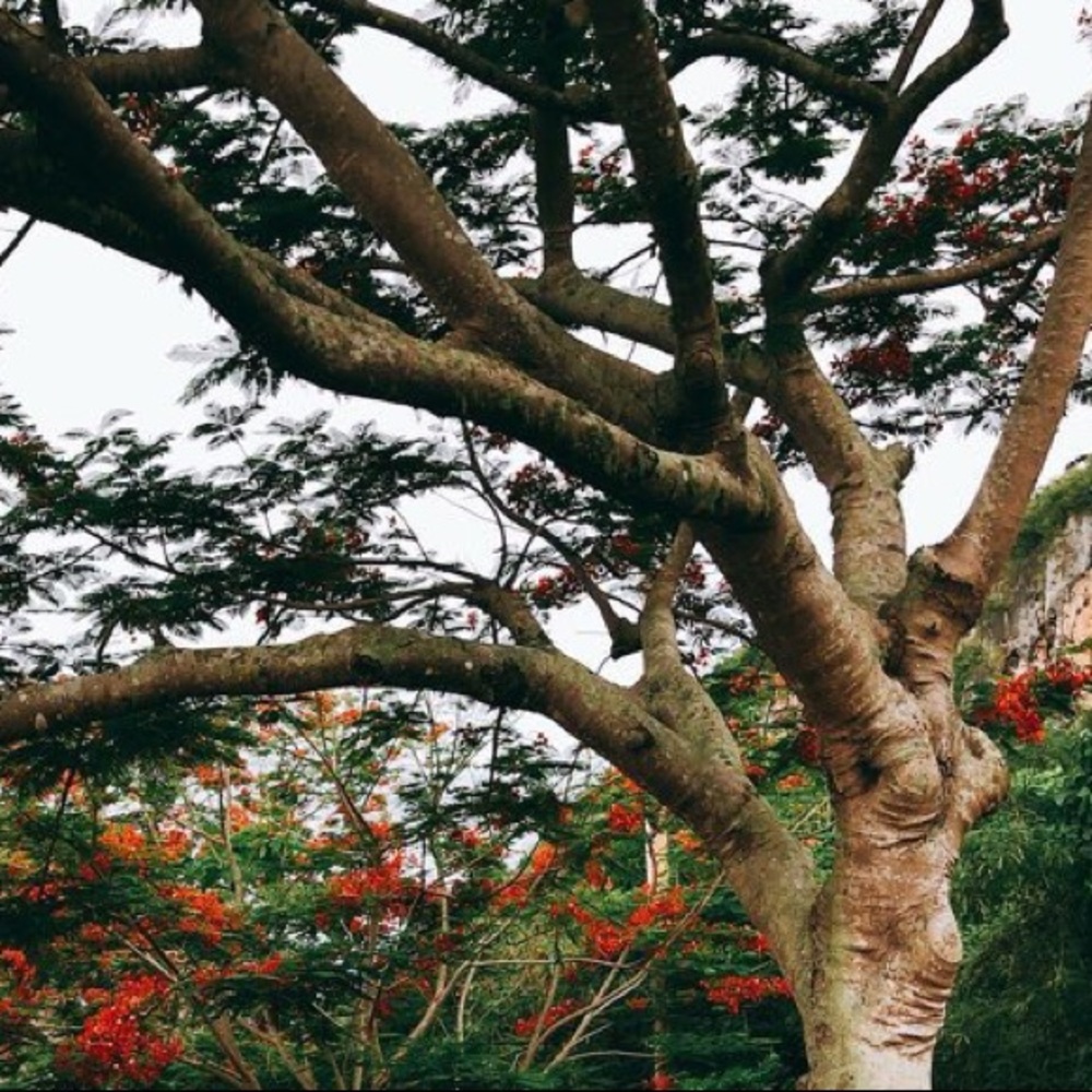 Meet your Posher, Julia